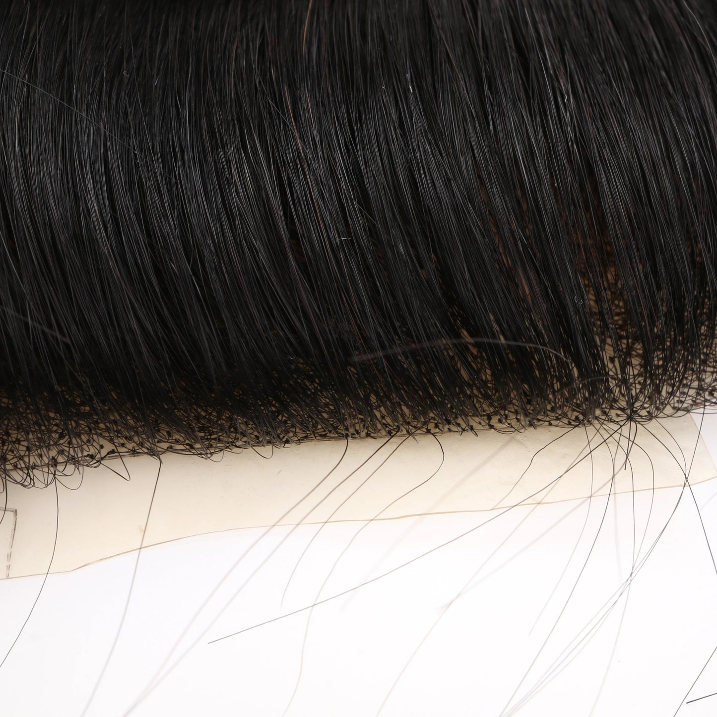 a229450d-2282-41c9-b1f4-7b666bf3c77f